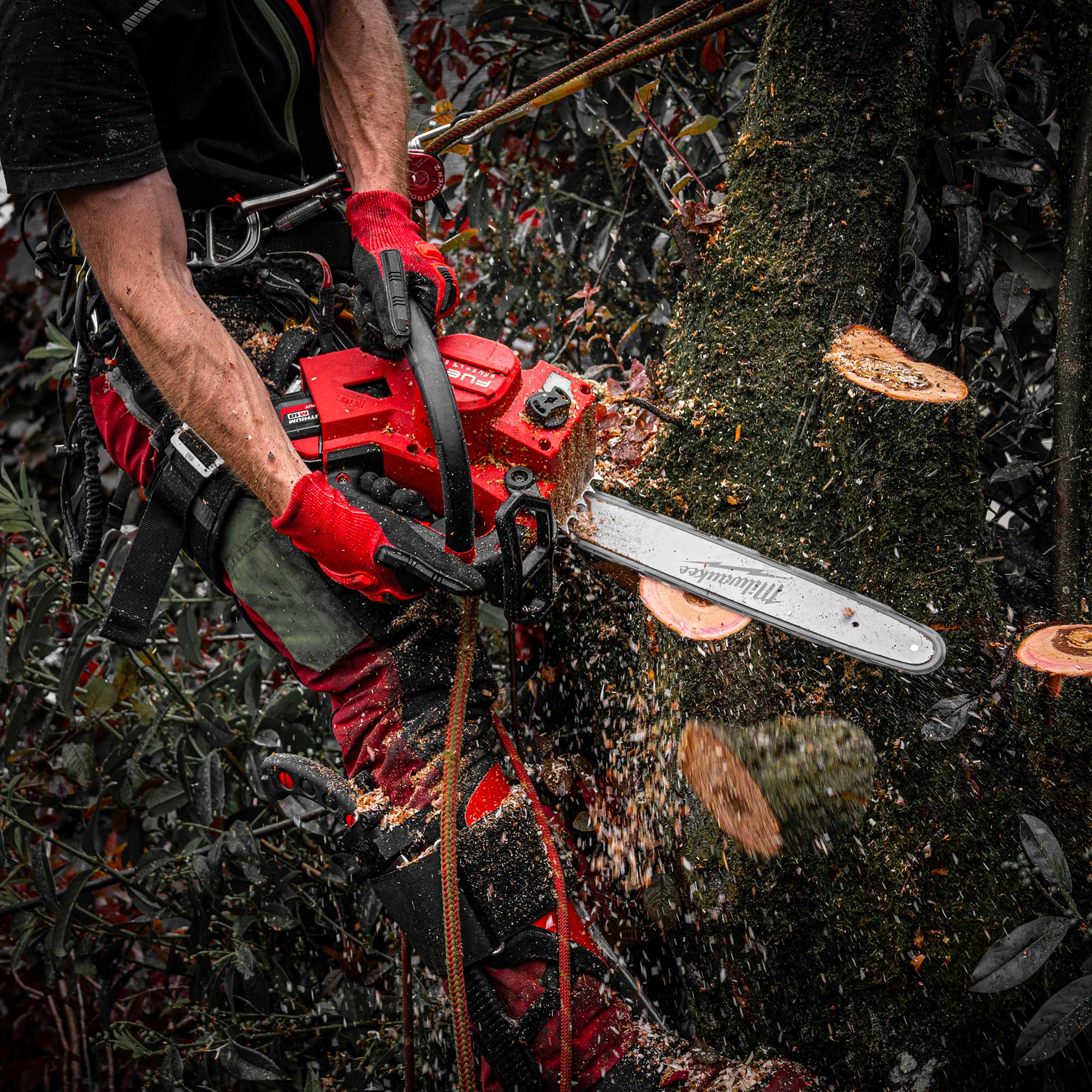 Elettrosega Milwaukee M18 FTHCHS30-802 - Image 5