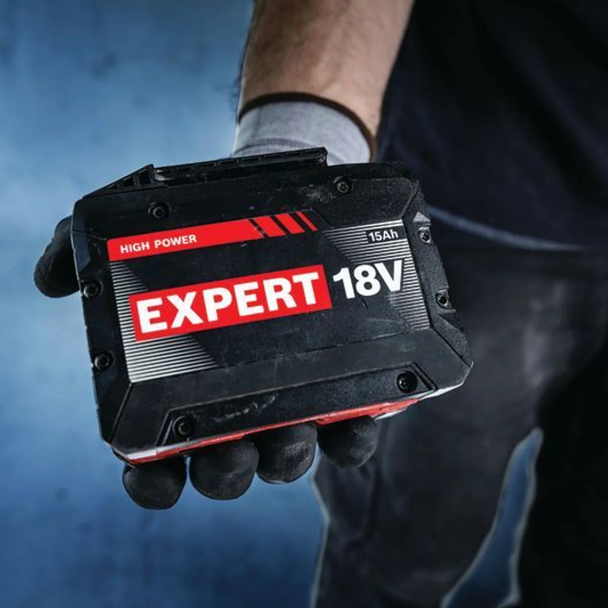 Starter Set Bosch Expert EXBA18V-150 + EXAL18V-160 18V 15Ah - Image 2