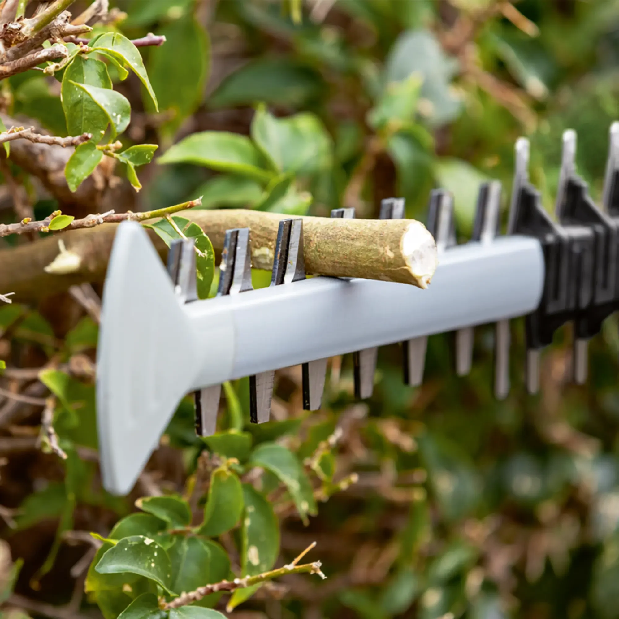 Tagliasiepi Bosch GHE 18V-60 - Image 6